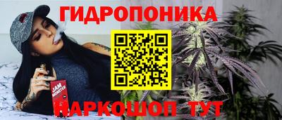 гашиш Новодвинск