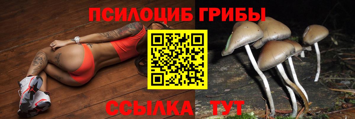 Самара  Галлюциногенные грибы Psilocybe  закладки  Вход с VPN 